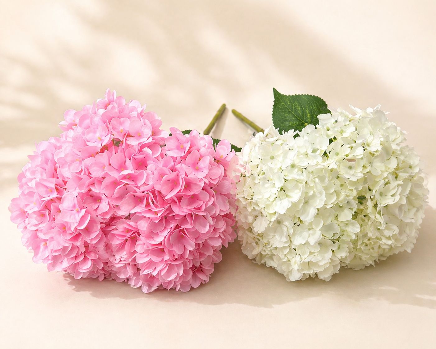 Gepreserveerde bloemen